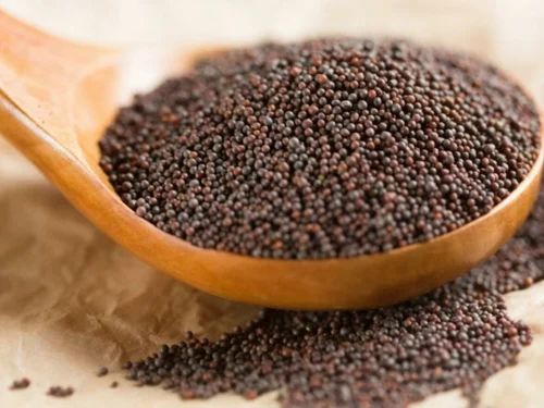 Brown Mustard Seeds, Packaging Size: 50 kg