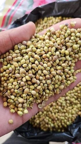 Dried Organic Coriander Seed, Form: Seeds