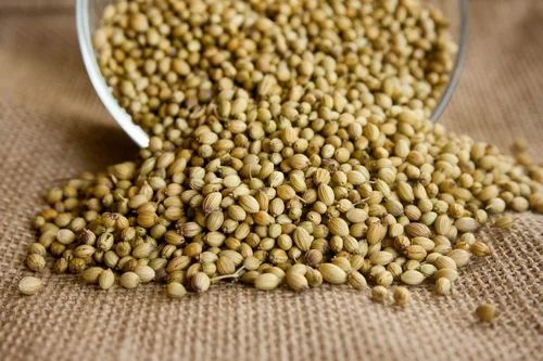 Organic Coriander Seed