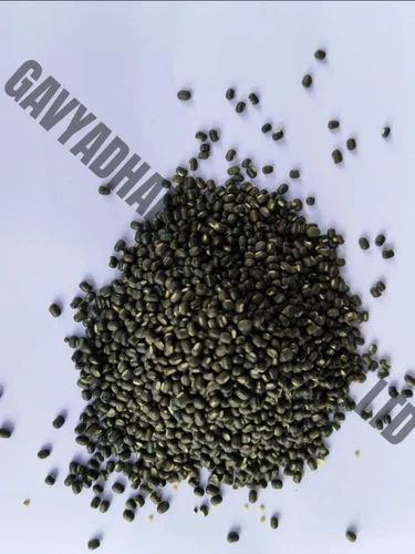Organic Urad Whole, Packaging Size: 25 Kg