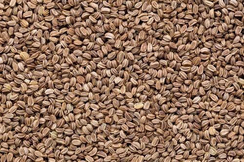 Whole Celery Seeds, Packaging Size: 10 kg