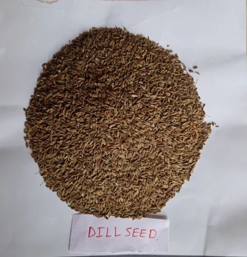Dill seed regular, Packaging Type: PP Bag, Packaging Size: 10 Kg