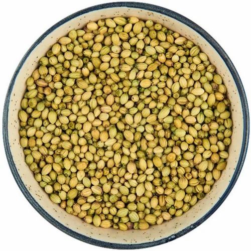 SUDHA Green Double Parrot Coriander Seed, Form: Seeds, Packaging Type: Gunny Bag