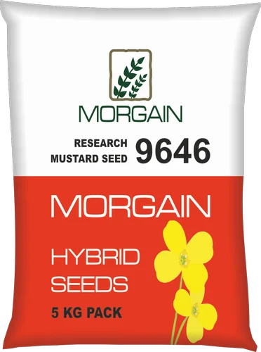 Res Variety 9646 Mustard Seeds