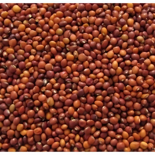 Red Mustard Seeds