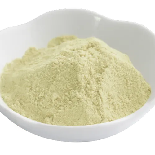 Diamond Enterprises Jackfruit Powder