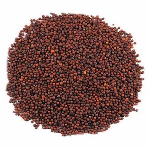 Mustard Seeds