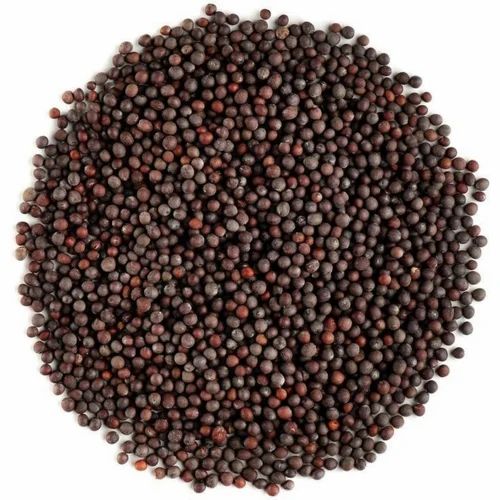 Red Mustard Seed