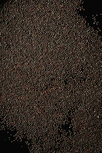 Red Spice Whole Mustard Seeds, Loose