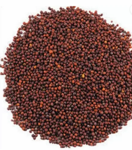 Red Mustard Seeds, 1 Kg