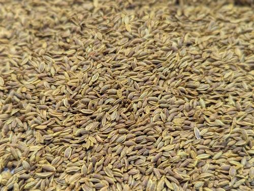 Roasted Dill seeds, Whole, A Grade