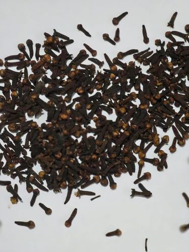 Organic Black Clove Seed Lal Pari