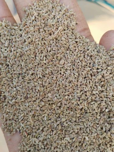 Organic Ajwain