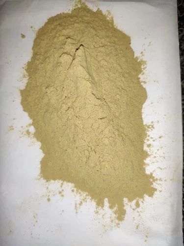 Chiku Spray Dried Powder