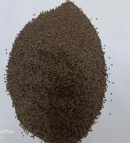 Dr Human Jakhya Seeds Garhwali Spice, Packaging Type: Gunny Bag, 1Kg