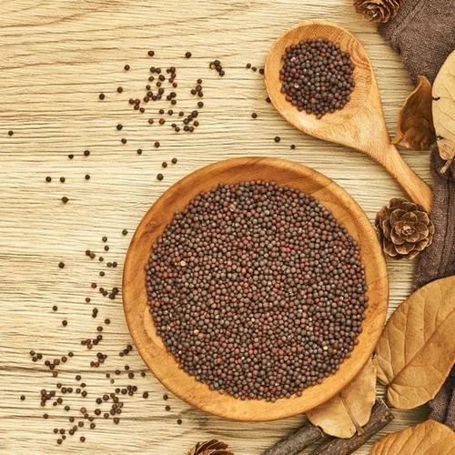 Jakhya Seed