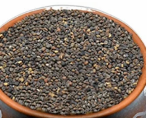 Real Hill Jakhya Seed