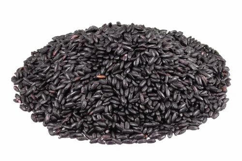 Organic Black Rice