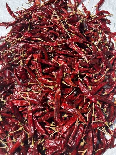 Dry Resham Patti Chilli, Kashmiri, Deluxe (DLX)