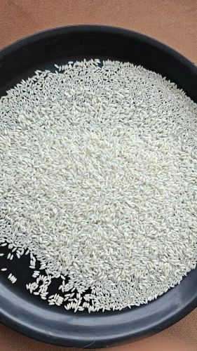 Basmati Jeerakasala Rice, 50 Kg