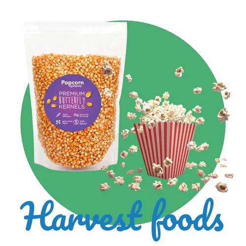 Popcorn Seeds 1kg
