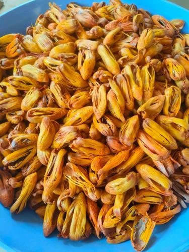 Rampatri Spice