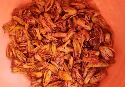 Dried Natural Rampatri