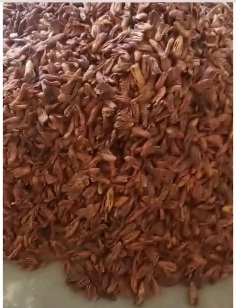 Ramptri 950/- per kg