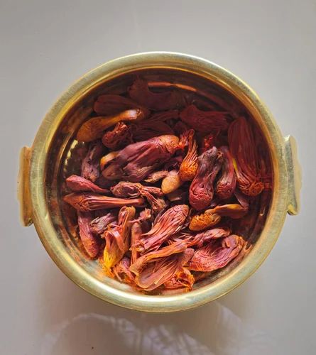 Wild Mace Rampatri Masala