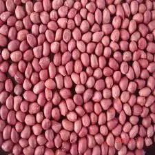 Red Skin Peanuts