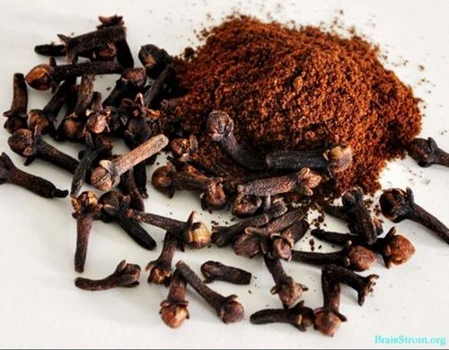 Clove Extract Powder, 5 kg