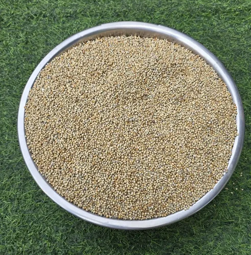 Organic Bajra Millet