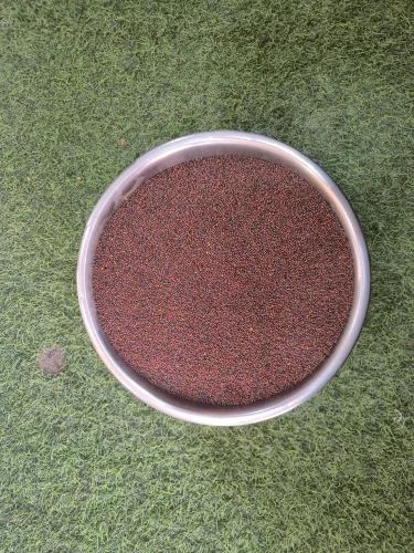 Organic Brown Mustard Seeds, Small (Rai)