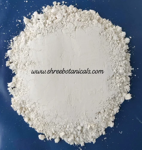 Imli Beej Powder (50 kg)