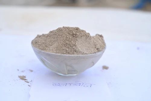 Bala Beej Powder, Packaging Size: 1 kg, Packaging Type: Packet