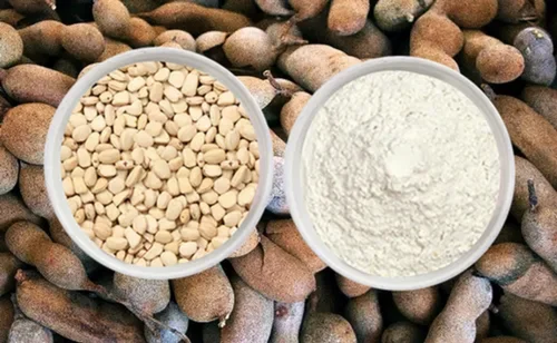 Tamarind Kernel Powder, Packaging Type: 50 KG Bag, Packaging Size: 50KG