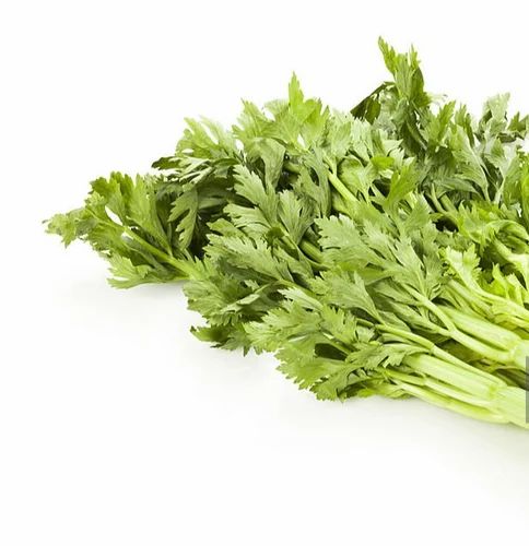 Celery Powder, 1 Kg, Packaging Type: Box