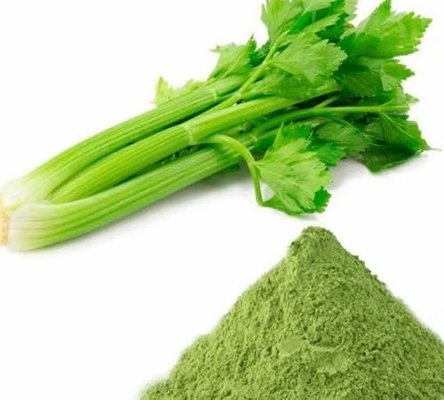 Celery Leaf powder Extract, Herbal