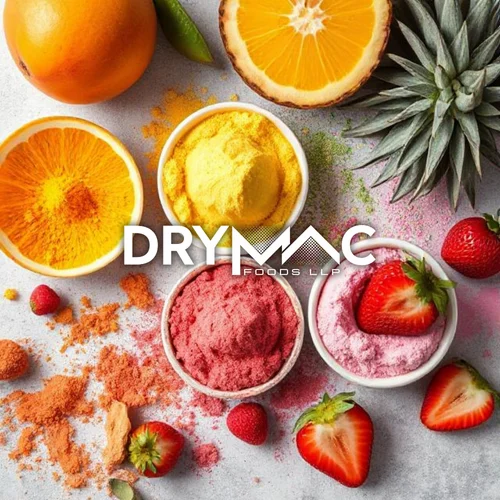 Drymac's Premium Quality Spray Dried Fruit Powder