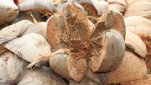 Coconut Husk