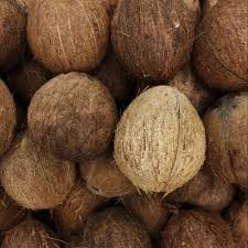 Fresh Brown Coconut