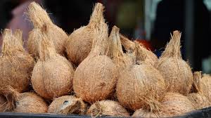 Semi Husked Coconut
