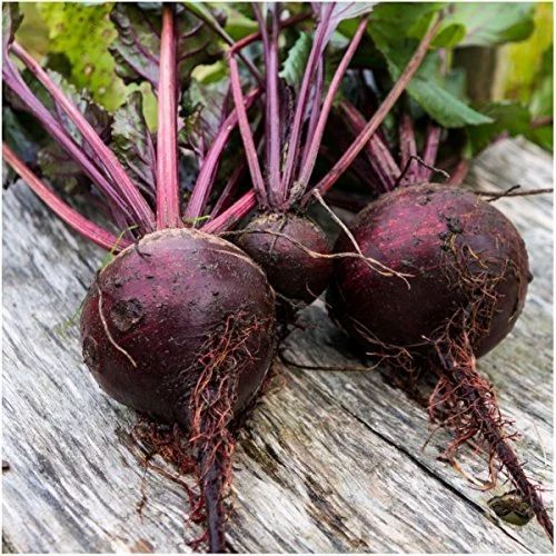 Beat Root Pulp