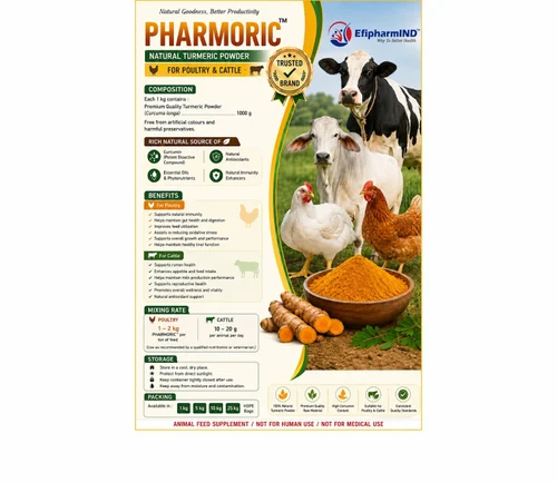 Sangli Organic Turmeric Powder