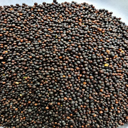 Organic Mustard Seed