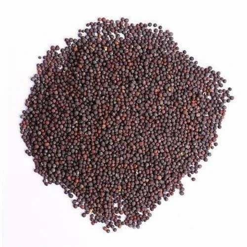 Natural Sarson Organic Black Mustard Seeds