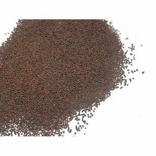 Organic Brown Mustard, Packaging Size: Loose
