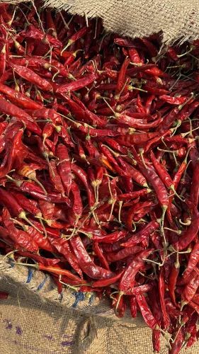 Guntur Export Quality Red Chilli, 1 Kg, Gunny Bag