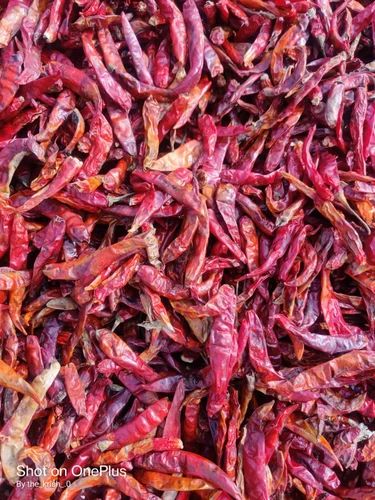 B Grade 40Kg Khudwa Red Chilli, Gunny Bag