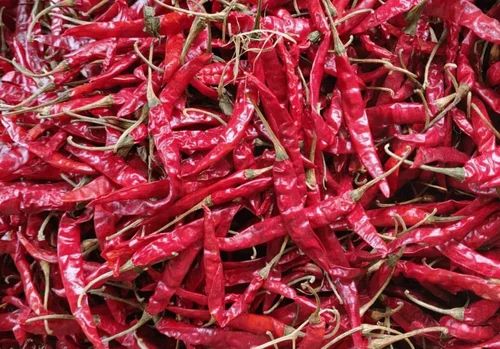Organic Bediya Whole Red Chilli